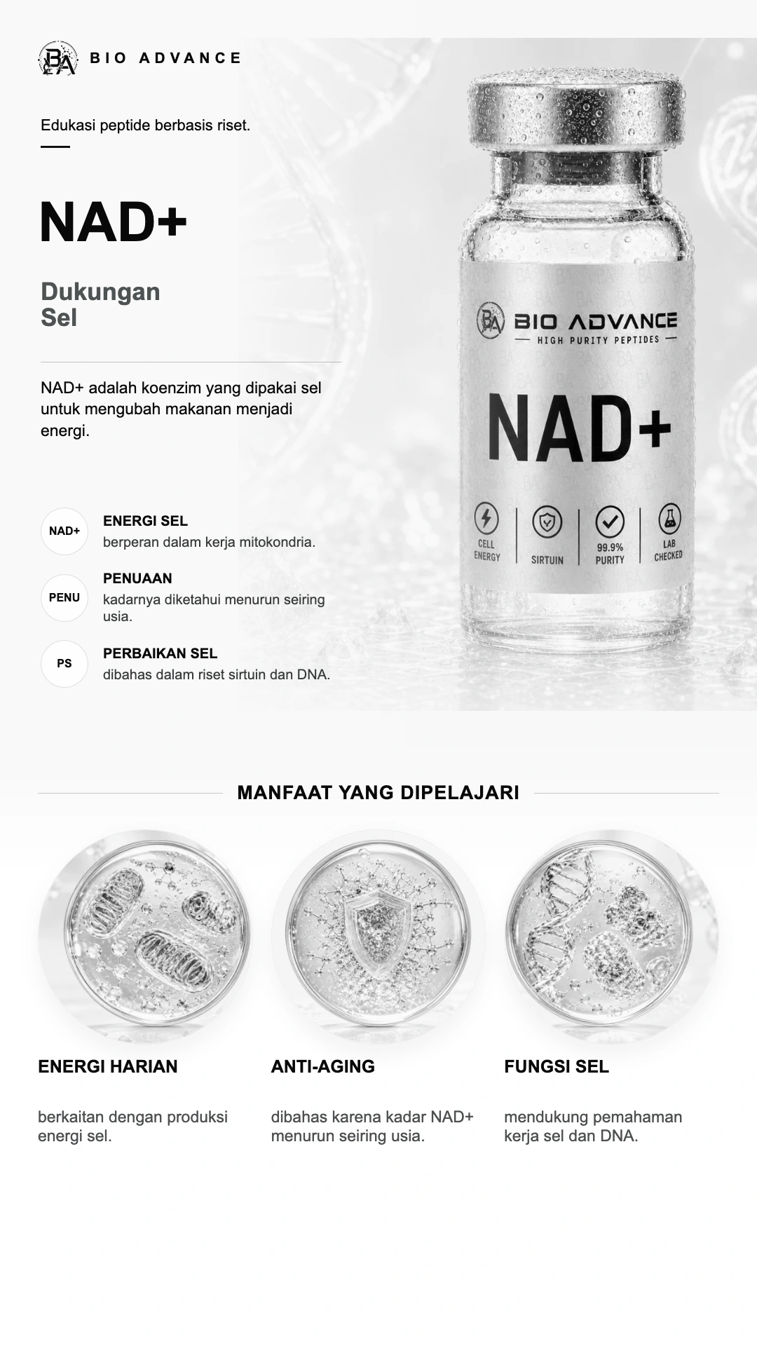 Poster edukasi NAD+, ringkasan cara kerja dan konteks risetnya