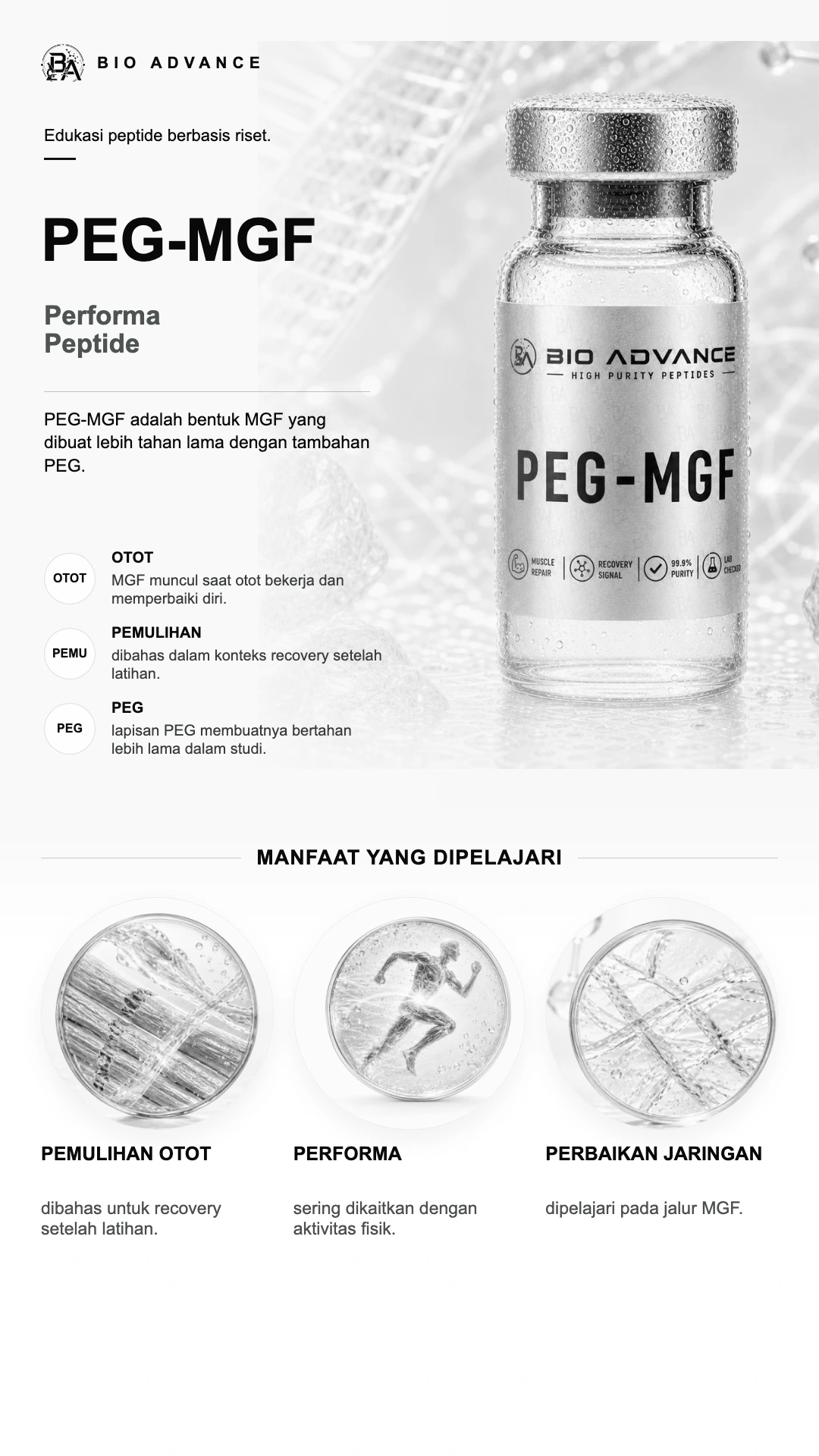 Poster edukasi PEG-MGF, ringkasan cara kerja dan konteks risetnya